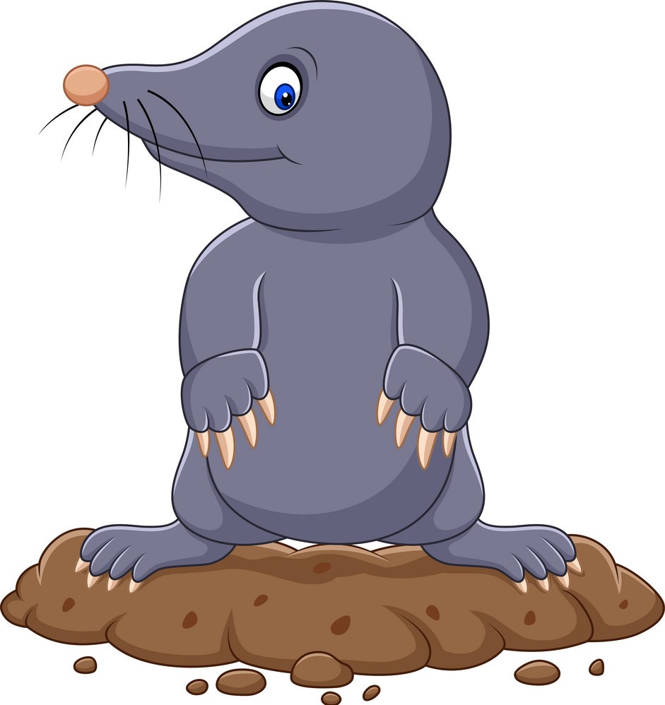 Mole